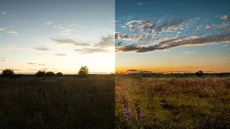 Adobe Lightroom Alternative Photoshop