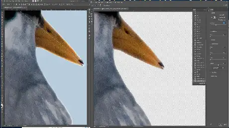 Applying Multiple Pixel Masks
