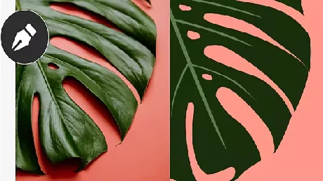 Automated Raster to Vector Conversion