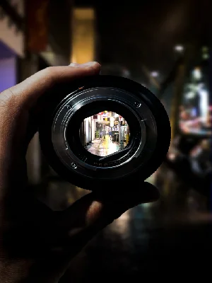 Best Way to Improve Your Macro Photography Skills