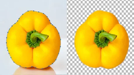 Image Clipping Path Service