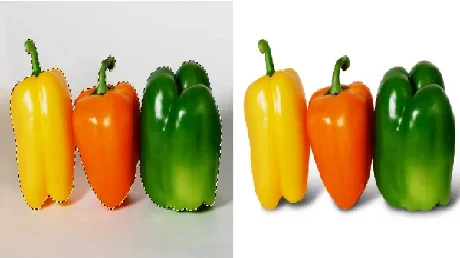 Multi Clipping Path Service